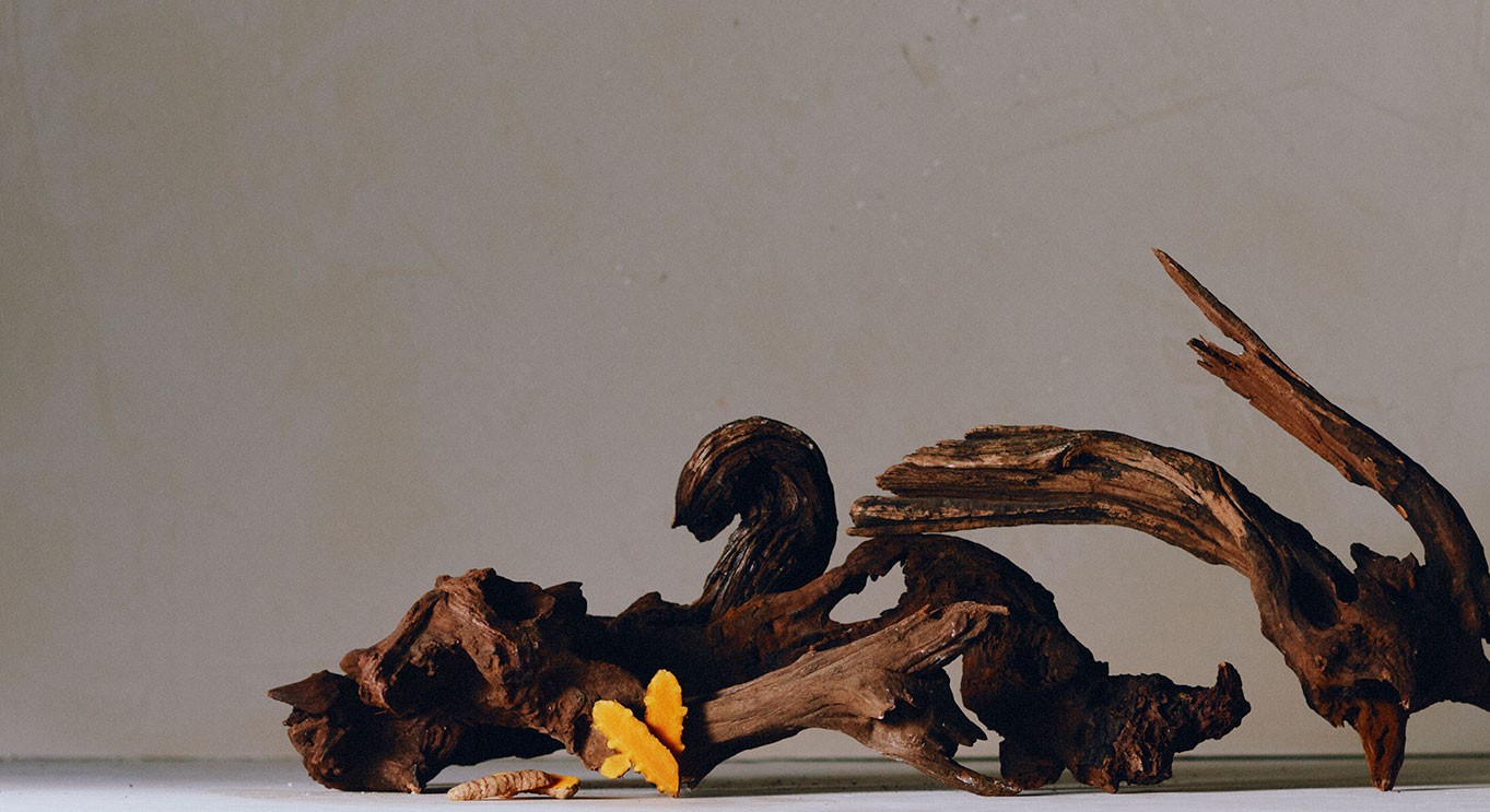 4 - Shampooing Densité Anti-Chute - Beliflor